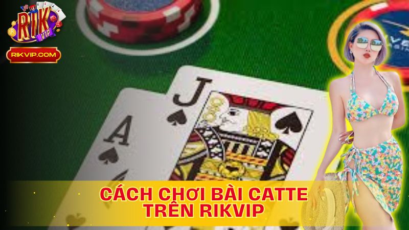 Khám phá chi tiết cách chơi bài Catte trên Rikvip!