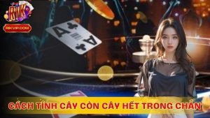 Cách tính cây còn cây hết trong chắn dễ chơi thắng lớn