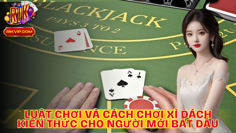 Luật chơi và cách chơi xì dách- Kiến thức cơ bản cho người mới chơi